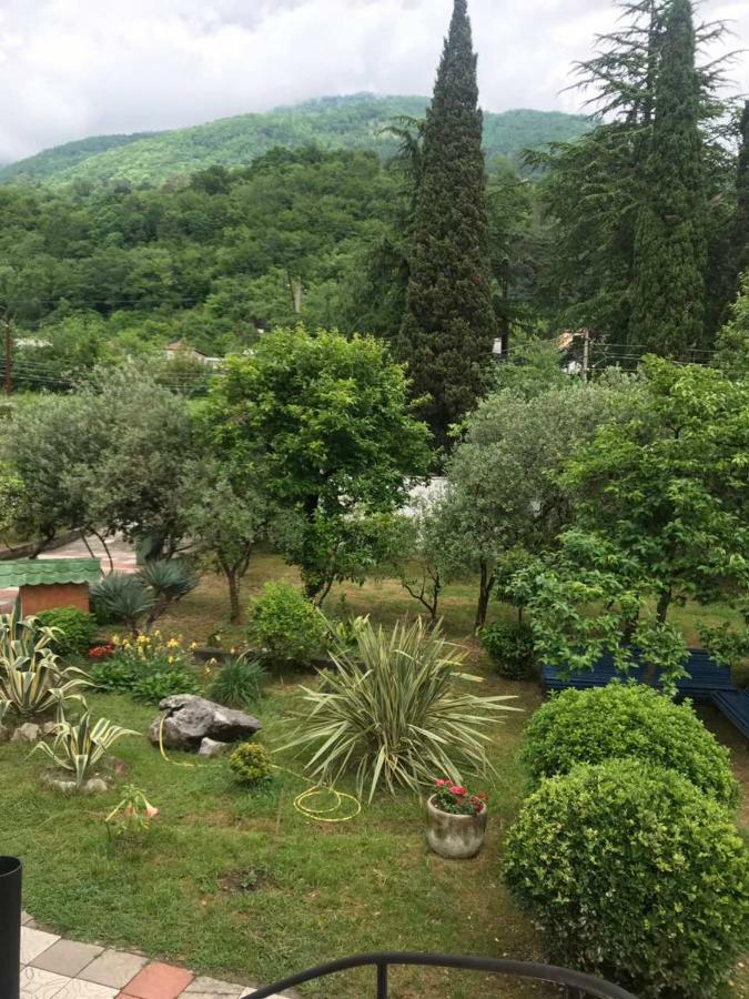 Guest House Dali Gagra Exterior foto